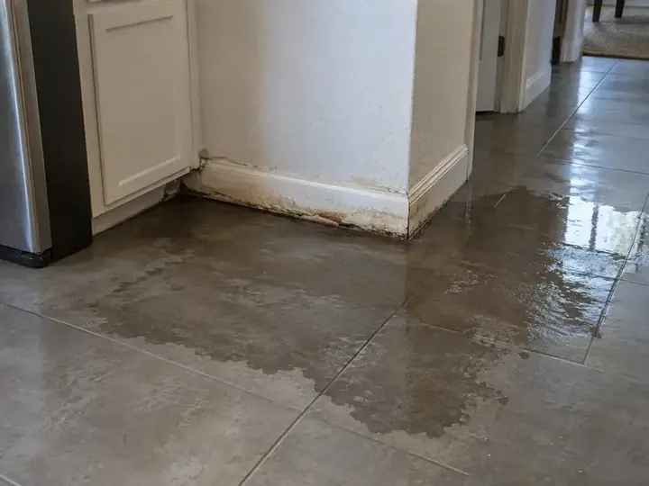 Kitchen floor soaked by a failed appliance supply line in Metairie