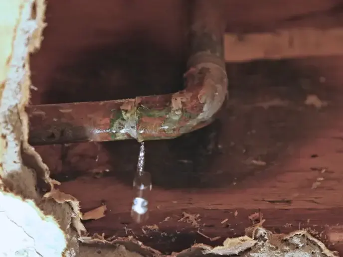Water leaking from a burst supply pipe inside a Metairie wall