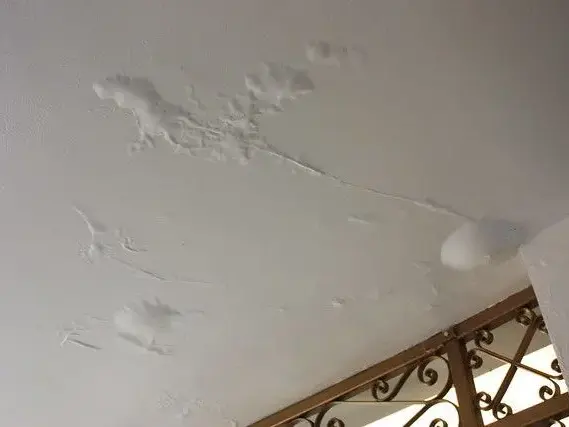Water-stained ceiling drywall sagging from a leak above in Metairie