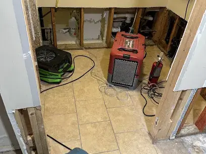 Air movers and a dehumidifier drying opened walls in a Metairie room